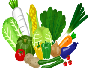野菜