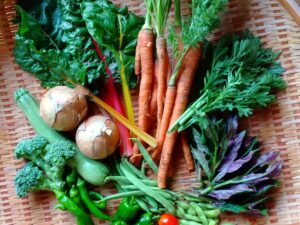 自然栽培の野菜7種セット